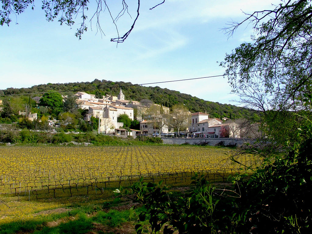 Village de Bidon